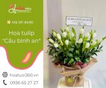 Hoa Tulip - Chở Yêu Thương Đến Muôn Nơi!