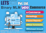 Woocommerce Binary Multi Level Marketing [Mlm] Plan | Binary Network, Genealogy Plan Cheapest Price Usa