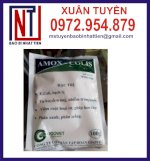 Chuyên Sản Xuất In Bao Bì Thuốc Thú Y