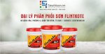 Tư Vấn Thi Công Sơn Chống Thấm Flinkote No.3 Chuẩn Nhà Máy