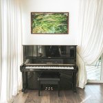 Ngôi Nhà Phong Cách Hiện Đại Có Những Đặc Điểm Gì? Mẫu Piano Phù Hợp.