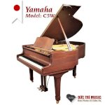 Những Điều Cần Biết Về Đàn Yamaha Ydp 164