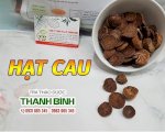 Công Dụng Và Cách Dùng Hạt Cau Trị Bệnh