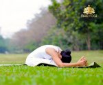 7 Bài Tập Yoga Chữa Đau Lưng Thoát Vị Đĩa Đệm Cho Người Lớn Tuổi