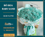 Bó Hoa Baby Xanh - My Everything