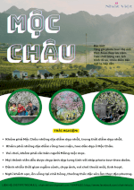 Cùng Nhất Việt Travel Du Xuân Mộc Châu