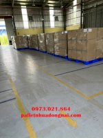 Phân Phối Pallet Nhựa Tại Trà Vinh, Liên Hệ (24/7)