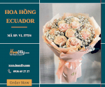 Bó Hoa Hồng Ecuador - Phép Màu Tình Yêu