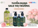 Tuyển Dụng Sale Thị Trường