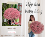 Hộp Hoa Baby Hồng - Chân Trời Yêu Thương