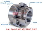 Chuyên Cung Cấp Khớp Nối Bánh Răng Thép