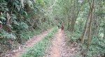 Gđ Bán 10Ha Rừng Sản Xuất Keo Tại Vườn Cau, Sơn Dương, Hoành Bồ
