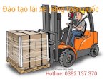 Khai Giảng Dạy Lái Xe Nâng Cấp Tốc Tại Vĩnh Tân, Tân Uyên, Bình Dương