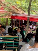 Cần Sang Gấp Quán Cafe Sân Vườn Tại Tp Thủ Đức, Tphcm
