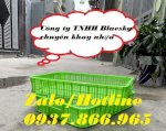 Sọt Đựng Rau Củ Bày Bán Trong Siêu Thị Tại Hà Nội , Hs 010, Sóng Nhựa Hở, Sọt Nhựa Rỗng