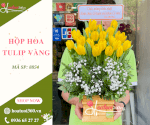 Hộp Hoa Tulip Vàng - Thời Kỳ Hoàng Kim