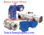 Bauer Gear Motor- Động Cơ Truyền Động Bauer