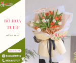 Bó Hoa Tulip Xinh - Gọi Yêu Thương Về