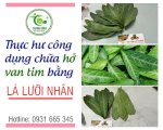 Cây Lá Lưỡi Nhân Giúp Trị Hở Van Tim