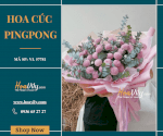Bó Hoa Cúc Pingpong - Bí Mật Nhỏ