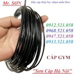 (Dây Cáp Máy Tập Gym, Cáp Thép Bọc Nhựa Đen) C.ty Cáp Thép Thanh Sơn - Hà Nội Có Cáp Thép Bọc Nhựa Mầu Đen D5-D6-D8-D10, Đầu Cốt Nhôm Ép Đầu Cáp Thép,