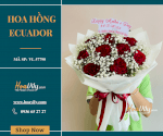 Bó Hoa Hồng Ecuador - Tình Yêu Vĩ Đại