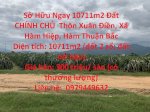 Sở Hữu Ngay 10711M2 Đất Chính Chủ Thôn Xuân Điền, Xã Hàm Hiệp, Hàm Thuận Bắc