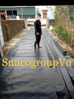 Bạt Đen Hdpe 0.4Mm Khổ 5Mx50M 250M2 Lót Trải Nền,Nhà Xưởng 2023