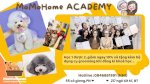 Momo Home Academy, Học 1 Được 2, Giảm Ngay 10% Và Tặng Kèm Bộ Dụng Cụ Grooming Khi Đăng Ký Khoá Học.