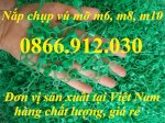 Chuyên Sản Xuất Phân Phối Nắp Bịt Đầu Vú Bơm Mỡ Bò Kích Thước M6, M8, M10