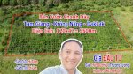 Bán Vườn Chanh Dây Xã Tam Giang - Krông Năng - Daklak