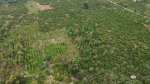 Bán 12000M Đất Vườn Sầu Riêng Xã Hòa Tiến - Huyện Krông Pắc - Tỉnh Đắk Lắk