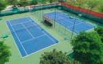 Nhà Phân Phối Sơn Sân Thể Thao Tennis, Sân Cầu Lông Terraco Chính Hãng Giá Rẻ Tại Bạc Liêu