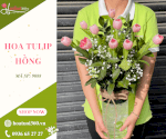 Bình Hoa Tulip Hồng - Dream Come True