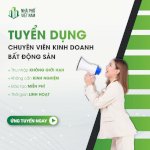 Nhà Phố Việt Nam Tuyển Nvkd Bđs Làm Hà Nội