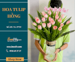 Bình Hoa Tulip Hồng - Sweet Dream