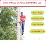 Dụng Cụ Leo Cây Dừa Đứng Leo Như Leo Thang