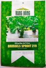 Hạt Giống Bắp Cải Tí Hon Rạng Đông Brussels Sprout 219