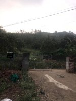 Chính Chủ Cần Bán Nhanh Lô Đất Đẹp Tại Xã Thành Sơn, Khánh Sơn, Khánh Hoà