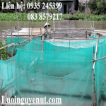 Lưới Chắn Cá - Lưới Nguyễn Út- Hcm