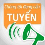 Cty Toàn Thắng Tuyển Lái Xe Dấu D Và Dấu E Tuyến Brvt, Kcn Phú Mỹ