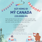 Gửi Hàng Đi Mỹ Canada Giá Rẻ , Uy Tín - Tiến Việt Express