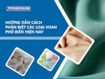 Hướng Dẫn Cách Phân Biệt Các Loại Voan Phổ Biến Hiện Nay