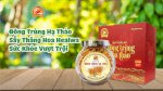 Đông Trùng Hạ Thảo Sấy Thăng Hoa Healwa