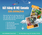 Gửi Hàng Đi Mỹ Canada Giá Tốt - Tiến Việt Express