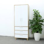 Tủ Quần Áo Gỗ Mdf Chất Lượng - Hiện Đại - Xu Hướng