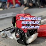 Máy Cắt Tỉa Cành Trên Cao Động Cơ Xăng 4 Thì Gx35