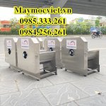 Máy Thái Lát Rau Củ Quả Chạy Điện Đa Năng