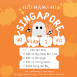 Gửi Hàng Đi Singapore Ưu Đãi - Tiến Việt Express