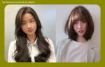 Màu Nâu Tây Không Tẩy Cực Kỳ Sáng Da Cho Mọi Cô Gái - Tiệp Nguyễn Hair Salon 100